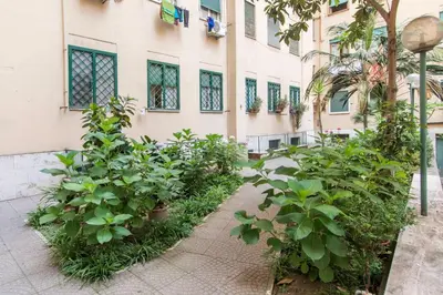 a row of plants in front of a building at House Of Music in Rome
