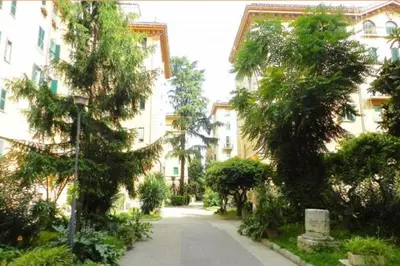 a street with trees in front of a building at Affittacamere ROMA FLAMINIO in Rome