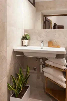 a bathroom with a sink and a potted plant at The Piccolo Apartment in Rome