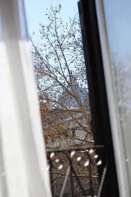 a view of a tree from a window at La Muraglia Di San Pietro in Rome