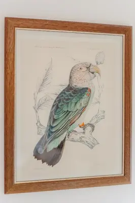 a drawing of a bird sitting on a tree branch at L'Agata (Trastevere) in Rome