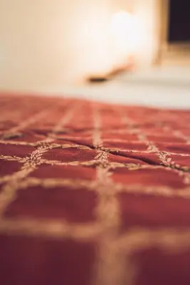 a close up of a red carpeted floor at Hotel Robinson in Rome