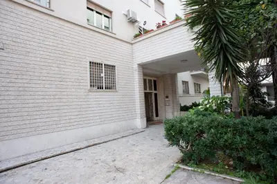 a white building with a door and a palm tree at AnnoDomini in Rome