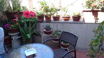 a patio with a table and chairs and potted plants at Chiara Rooms in Rome