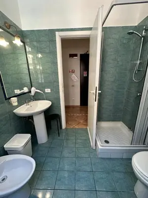 a bathroom with a sink and a shower and a toilet at Hotel Il Papavero in Rome