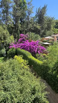 a garden with purple flowers and green bushes at Villa Riari Garden in Rome
