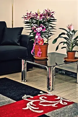 a living room with a glass table with flowers on it at Vatican Paradise in Rome