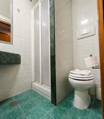 a bathroom with a toilet and a shower at Hotel Cervia in Rome