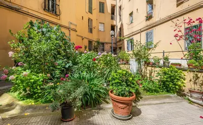 a group of plants in pots in a courtyard at Lele Rooms San Lorenzo in Rome