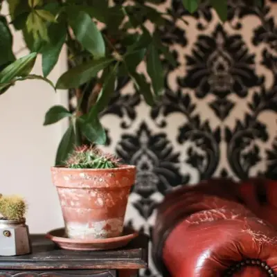 Coliving Trastevere