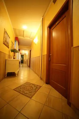 a hallway with a door and a rug on the floor at Hotel Giugiù in Rome