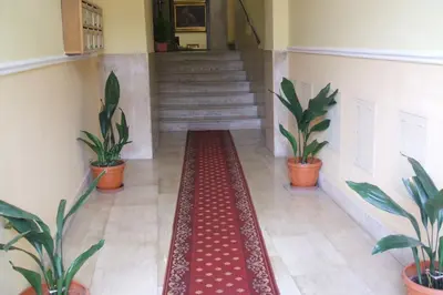 a hallway with potted plants and a red carpet at Colosseo Rooms Imperial Rome in Rome