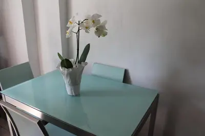 a vase with white flowers on a blue table at Le Terrazze Del Vaticano in Rome