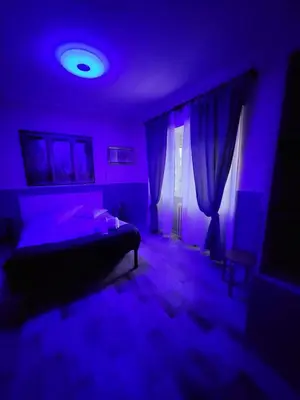 a purple room with a bed and a window at Le terrazze di Alberto in Rome