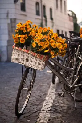 a bicycle with a basket filled with orange flowers at Residenza Pantaleo in Rome