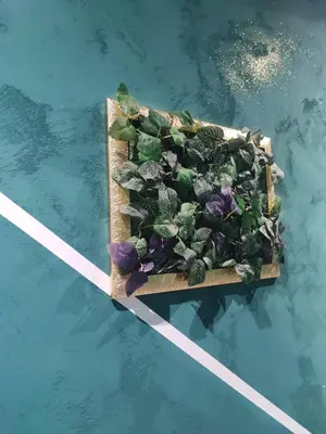 a wooden crate filled with plants on top of water at Eden guest house in Rome