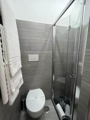 a bathroom with a toilet and a shower at Domus Flavia B&B in Rome