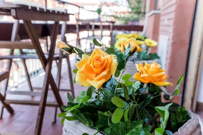 a vase filled with yellow roses on a porch at Quelli della via Gluck in Rome
