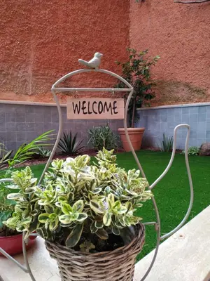 a welcome sign in a basket with a plant at Oasi Del Vaticano in Rome