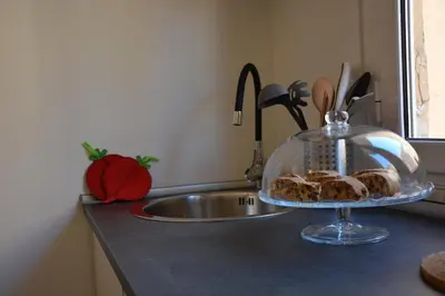 a kitchen counter with a dish on top of a sink at Alloggio per uso turistico D'Ambrosio Antonella Gli Scipioni 53 in Rome