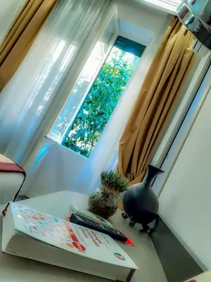 a window with a box and a plant on a table at Aventino Guest House in Rome