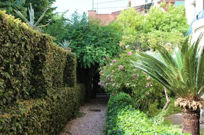 a garden with bushes and plants and a pathway at Aventino Guest House in Rome