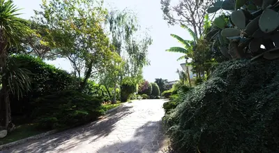 a road with trees and bushes on the side at Casa di Alberta in Rome