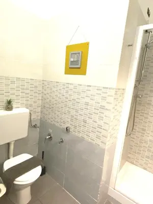 a bathroom with a toilet and a shower at Bed and Breakfast Zoe holiday in Rome
