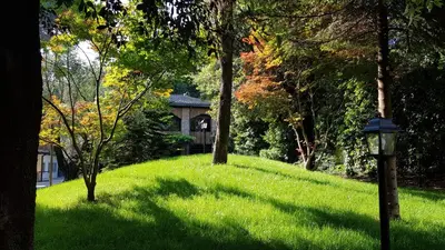 a grassy hill with a light pole and trees at Fauno Urban Resort in Rome