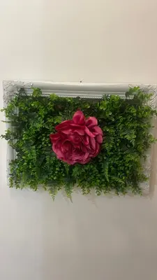a red rose on a wall with greens at Home Vatican Star in Rome