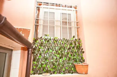 a window with a green fence next to a potted plant at The heart of Trastevere in Rome