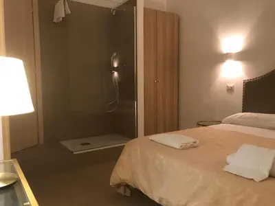 a hotel room with a bed and a shower at Art Atelier Vaticano Guest House in Rome