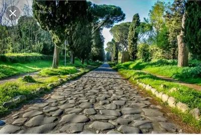a cobble stone road in a park with trees at Uso Turistico vicino San Giovanni in Rome