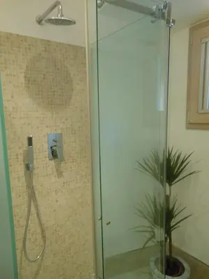 a shower with a glass door next to a plant at Vatican Studio Apartment in Rome