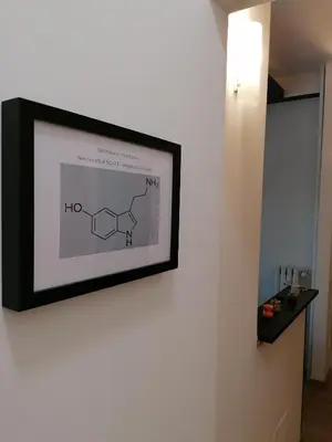 a picture hanging on a wall with a picture of a molecule at Chroma Italy - Doctor House in Rome