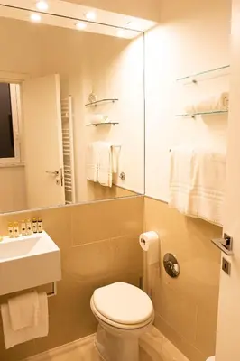 a bathroom with a toilet and a sink and a mirror at Cathy's Luxury Home in Rome