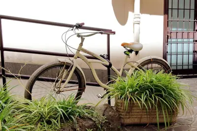 an old bike parked next to some plants at Lucky Holidays in Rome
