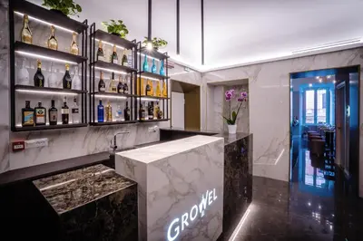 a lobby with a bar with bottles of alcohol at Growel Exclusive Suites San Pietro in Rome