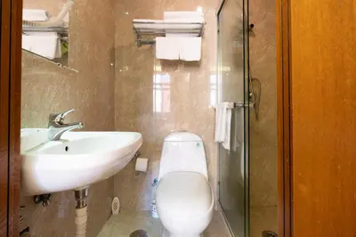 a bathroom with a toilet and a sink and a shower at Drago D'Oro GUESTHOUSE - accross from metro Vittorio Emanuele in Rome