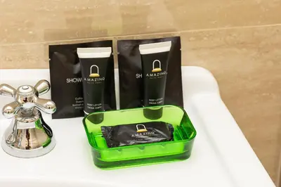 a green tray with spa products on a sink at SPA Apartment Via Barberini in Rome