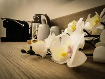 a group of white flowers sitting on the floor at My Maison 70 Guest House in Rome