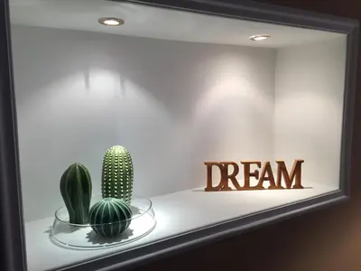 a display case with a cactus and a dream sign at Il giardino nascosto in Rome