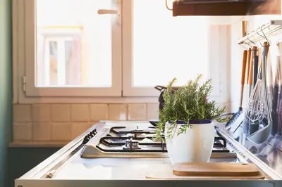 a kitchen stove top with a potted plant on it at TrastevereHome - Santa Cecilia in Trastevere with Balcony in Rome