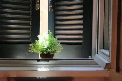 a potted plant sitting on a window sill at Colosseum New Charming Apartment in Rome