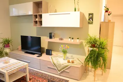 a living room with a tv on a cabinet with plants at La casa di Egle in Rome