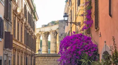 a street with purple flowers on the side of buildings at Center House Colosseo in Rome