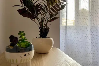 a plant in a white vase sitting on a table at Central modern apartment Rome -Locazione Turistica- in Rome