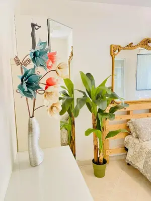 a living room with a plant and a mirror at Vatican Town House in Rome