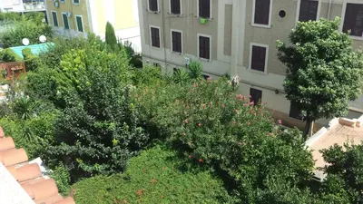 an overhead view of a garden with trees and bushes at St. John Villa in Rome