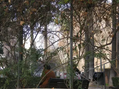 a person sitting on a park bench near trees at Le Sibille in Rome